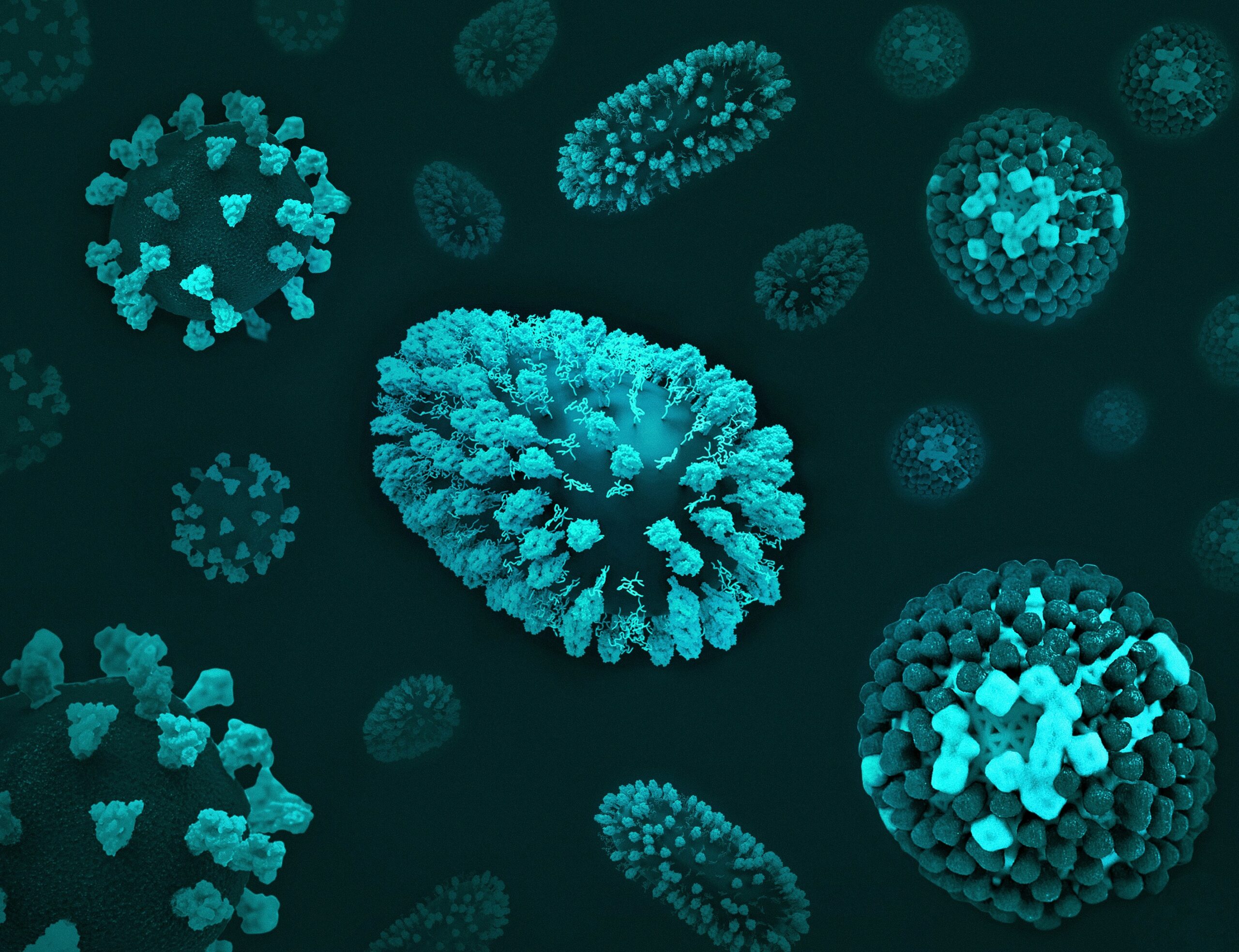 virus, bang voor ziektes en de dood